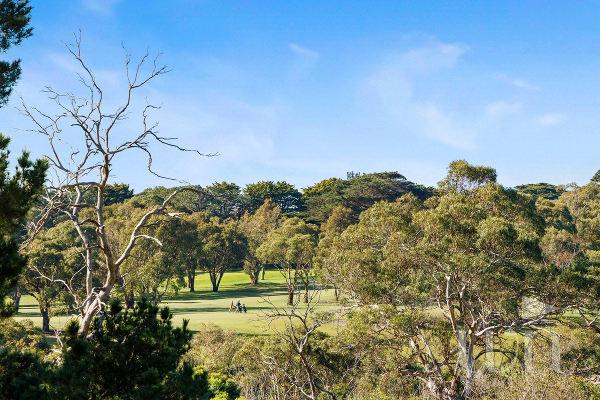 Image of vegetation