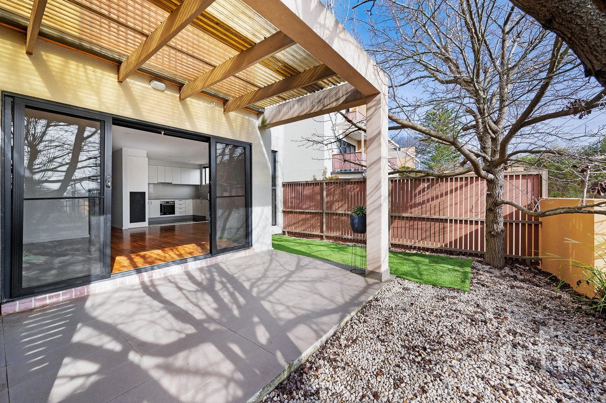 Image of backyard