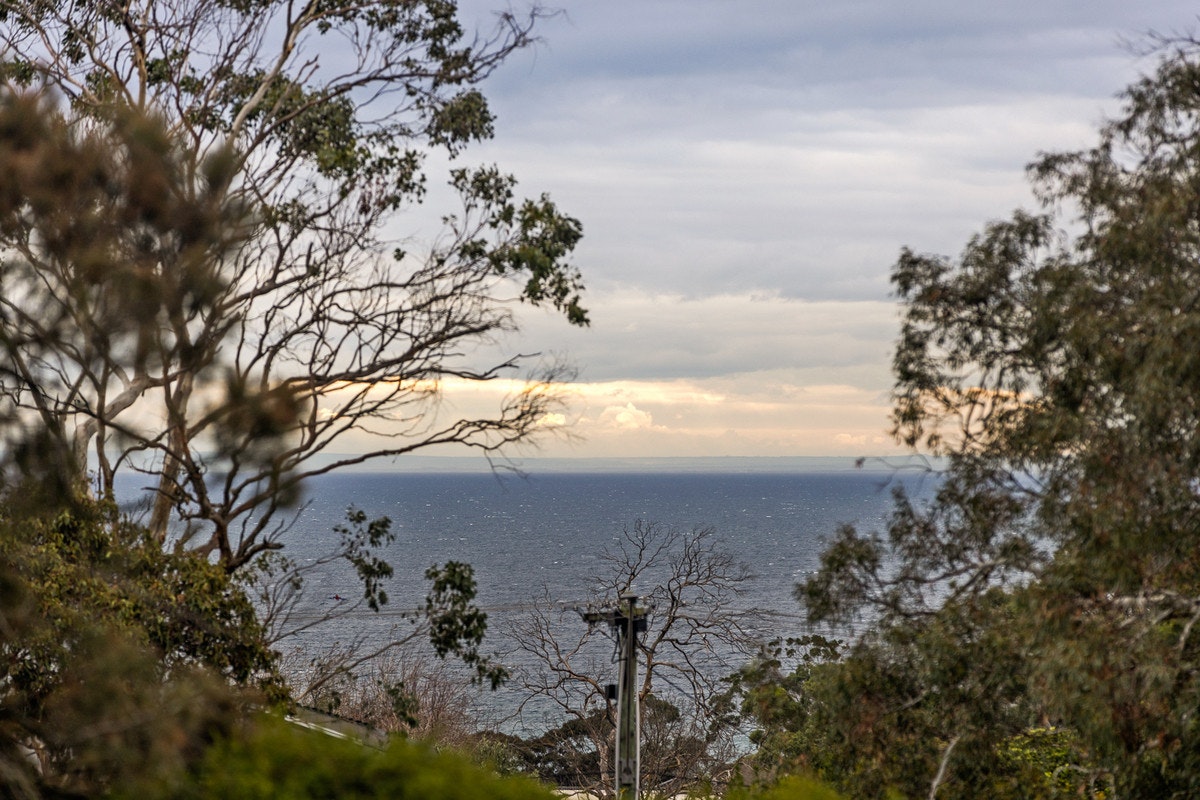 Image of nature