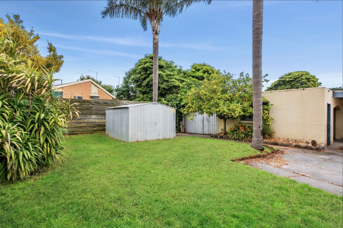 Image of backyard