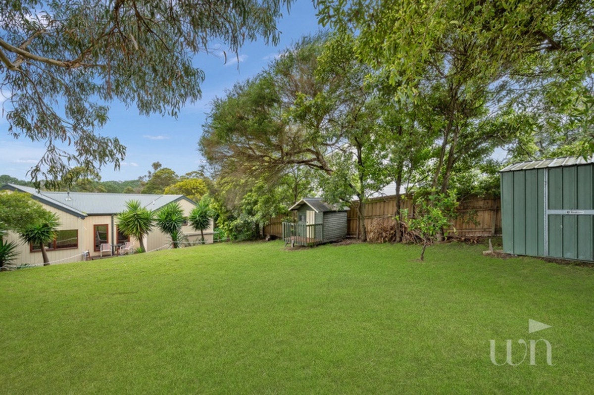 Image of backyard