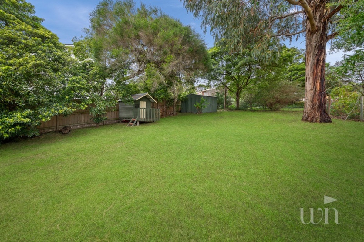 Image of grass