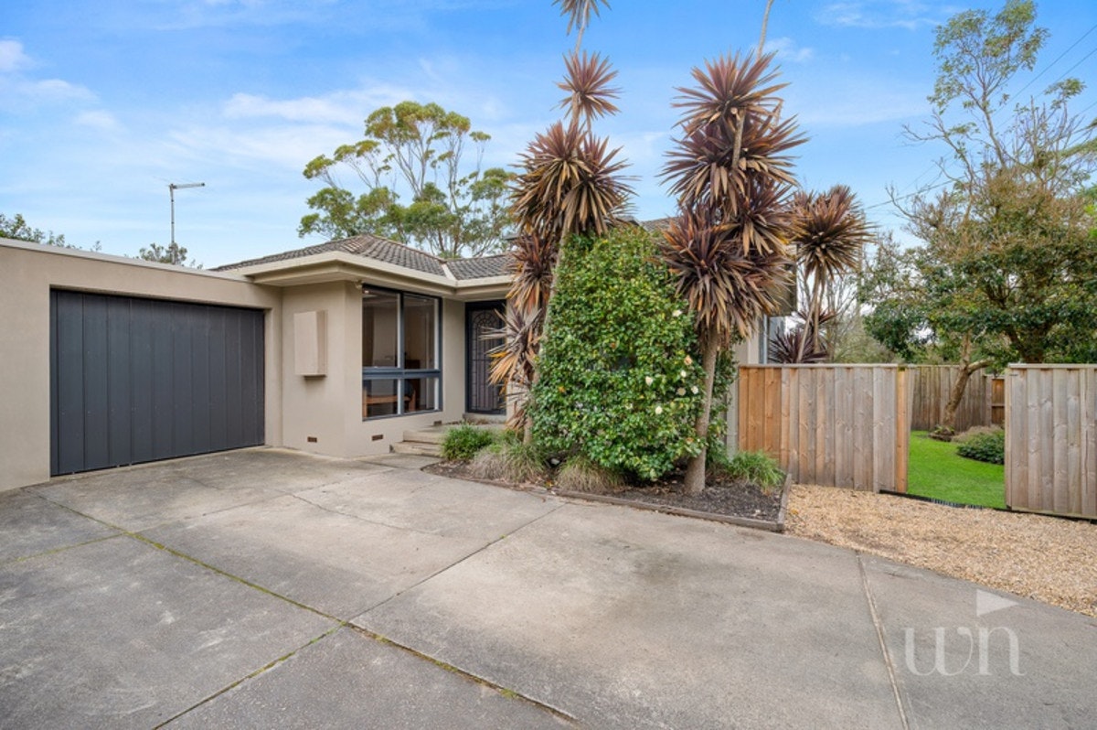 Image of backyard