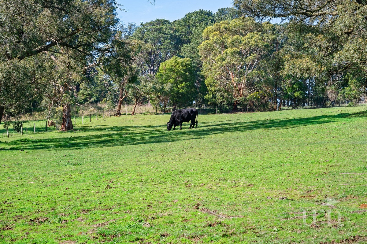 Image of countryside