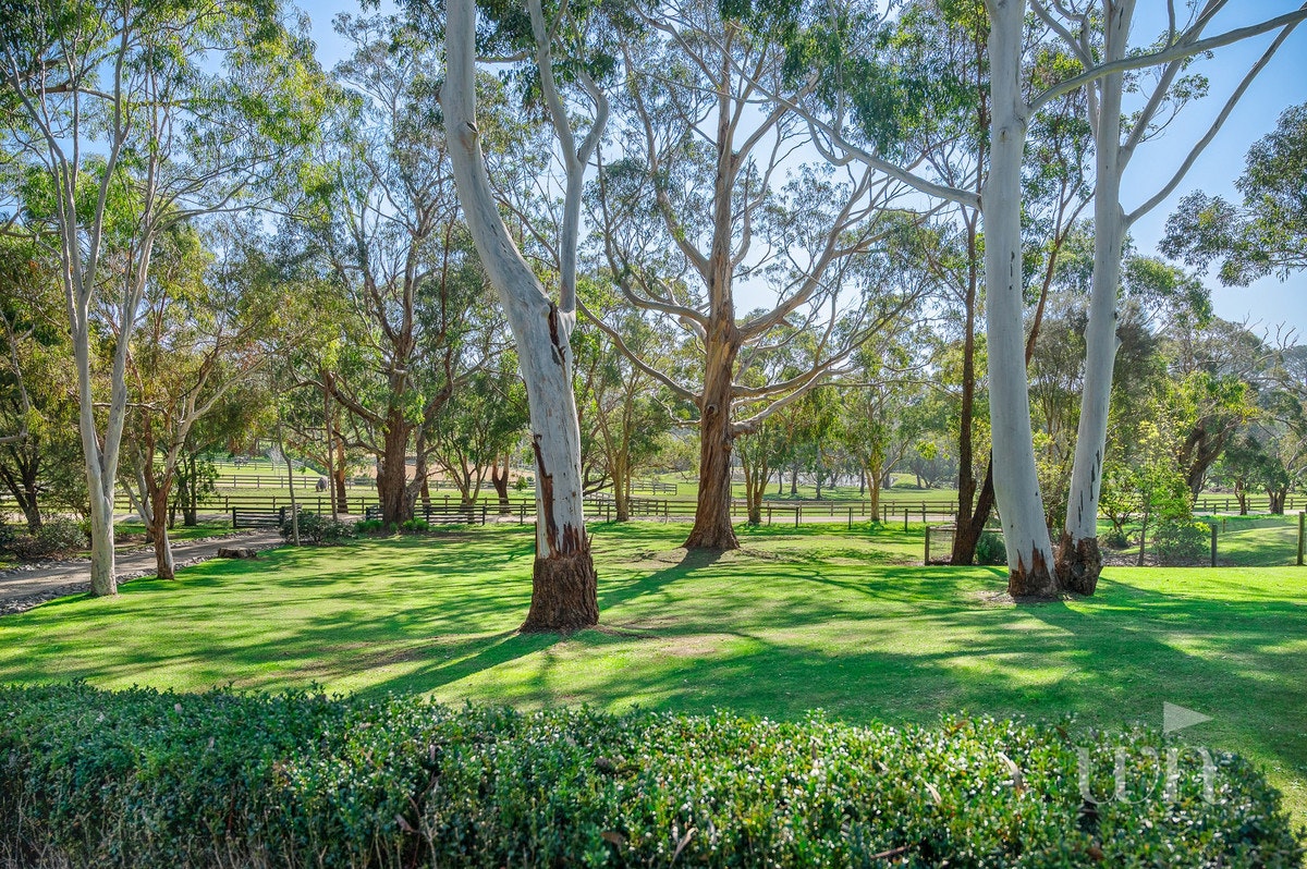 Image of grass