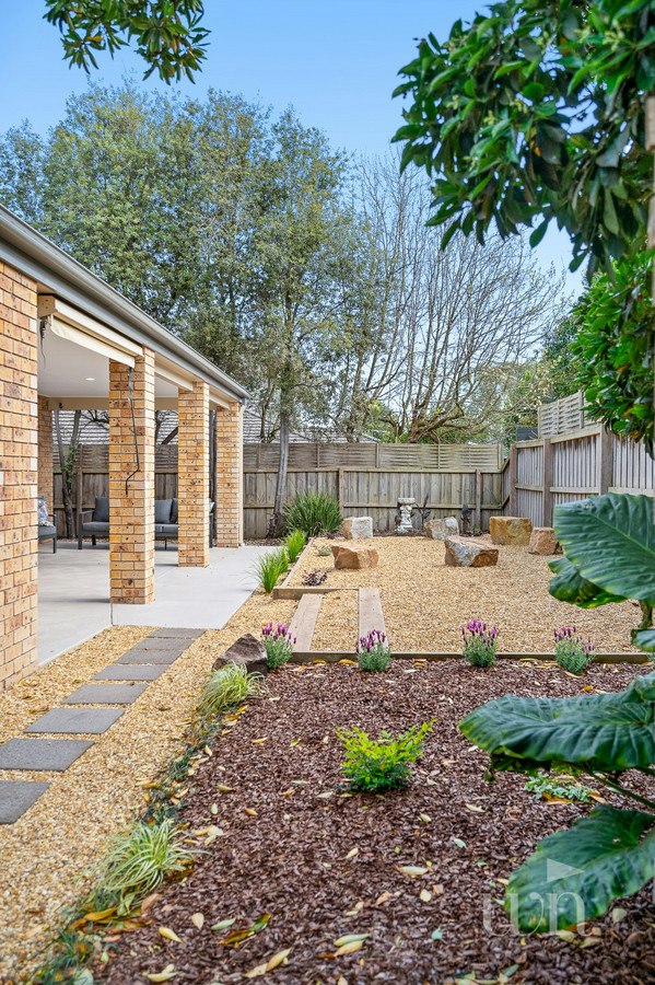 Image of backyard