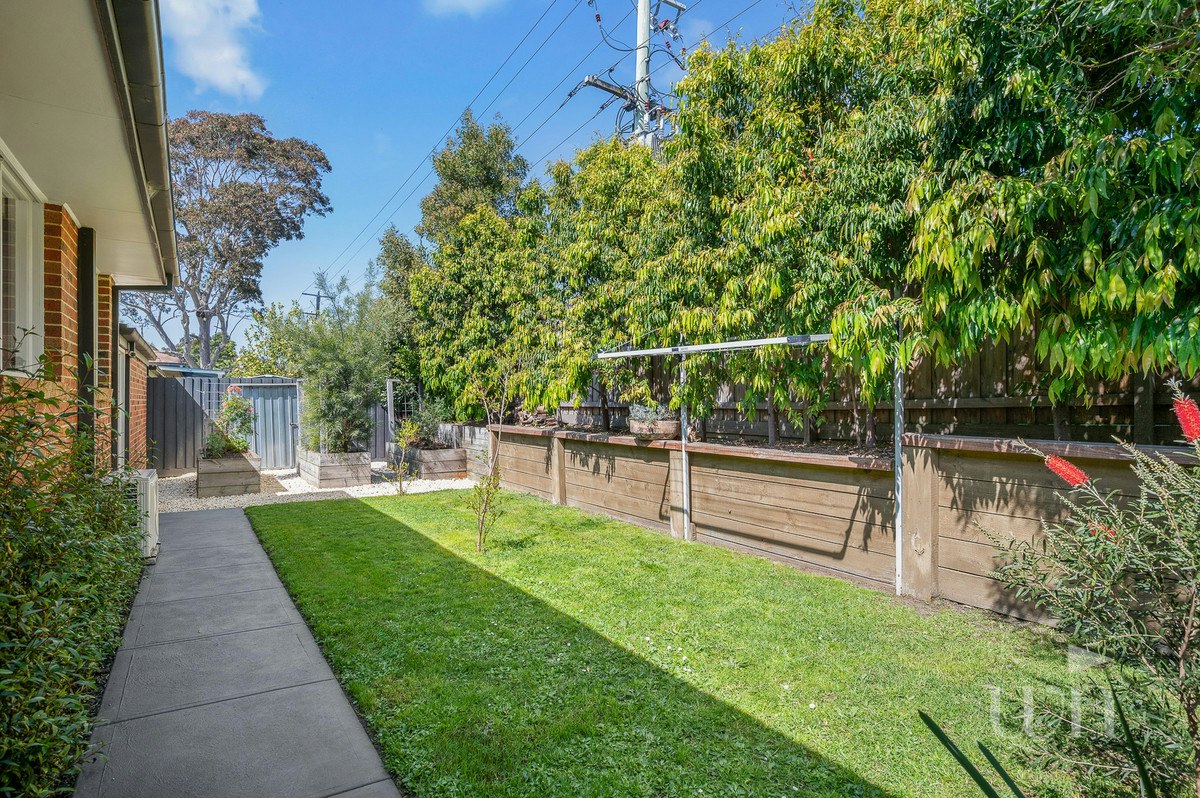 Image of backyard