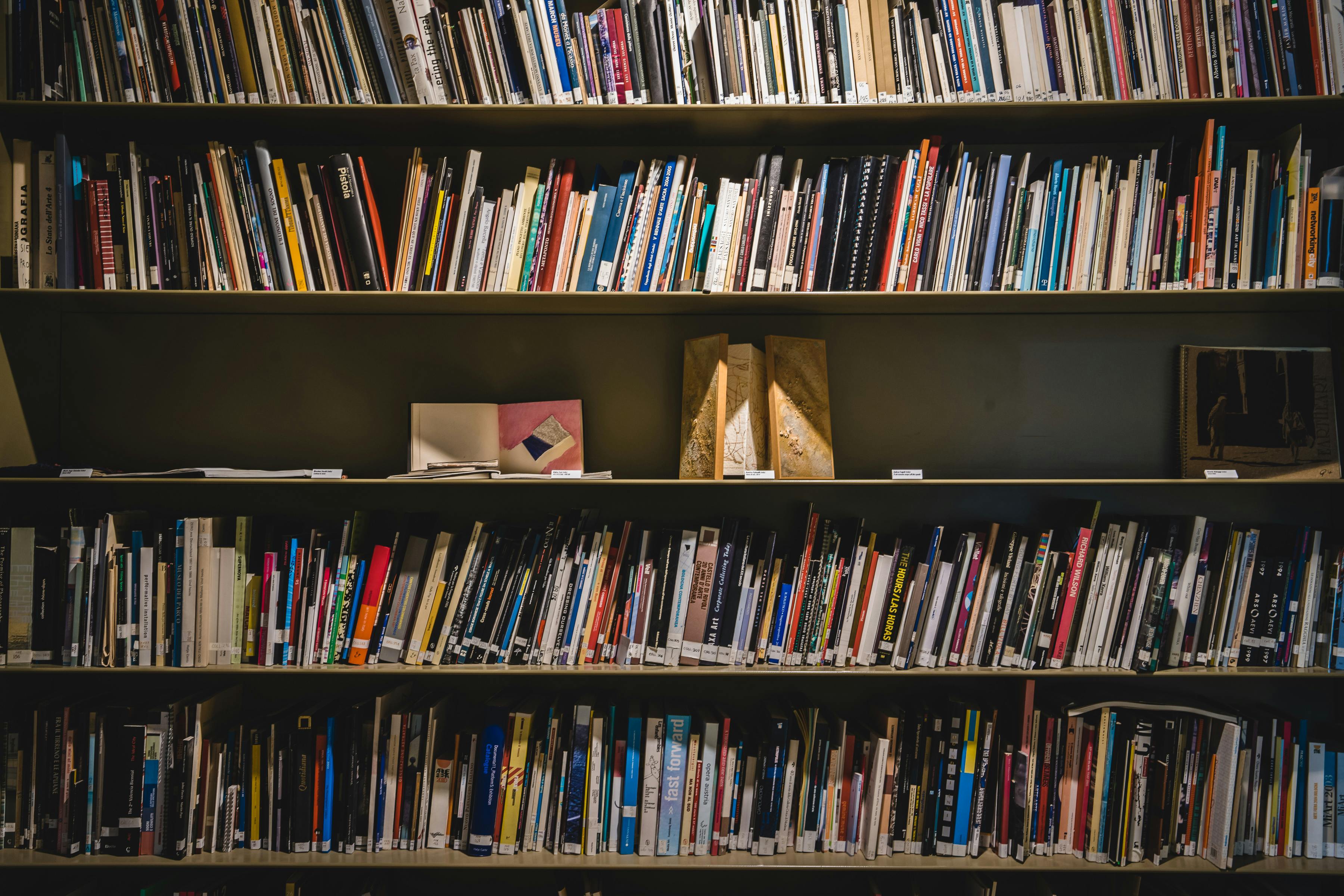 Biblioteca Briganti