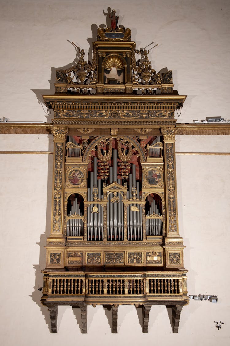 L'organo