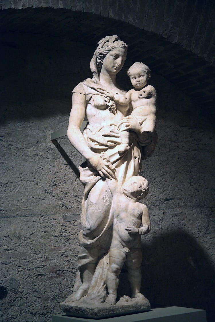 rea silvia