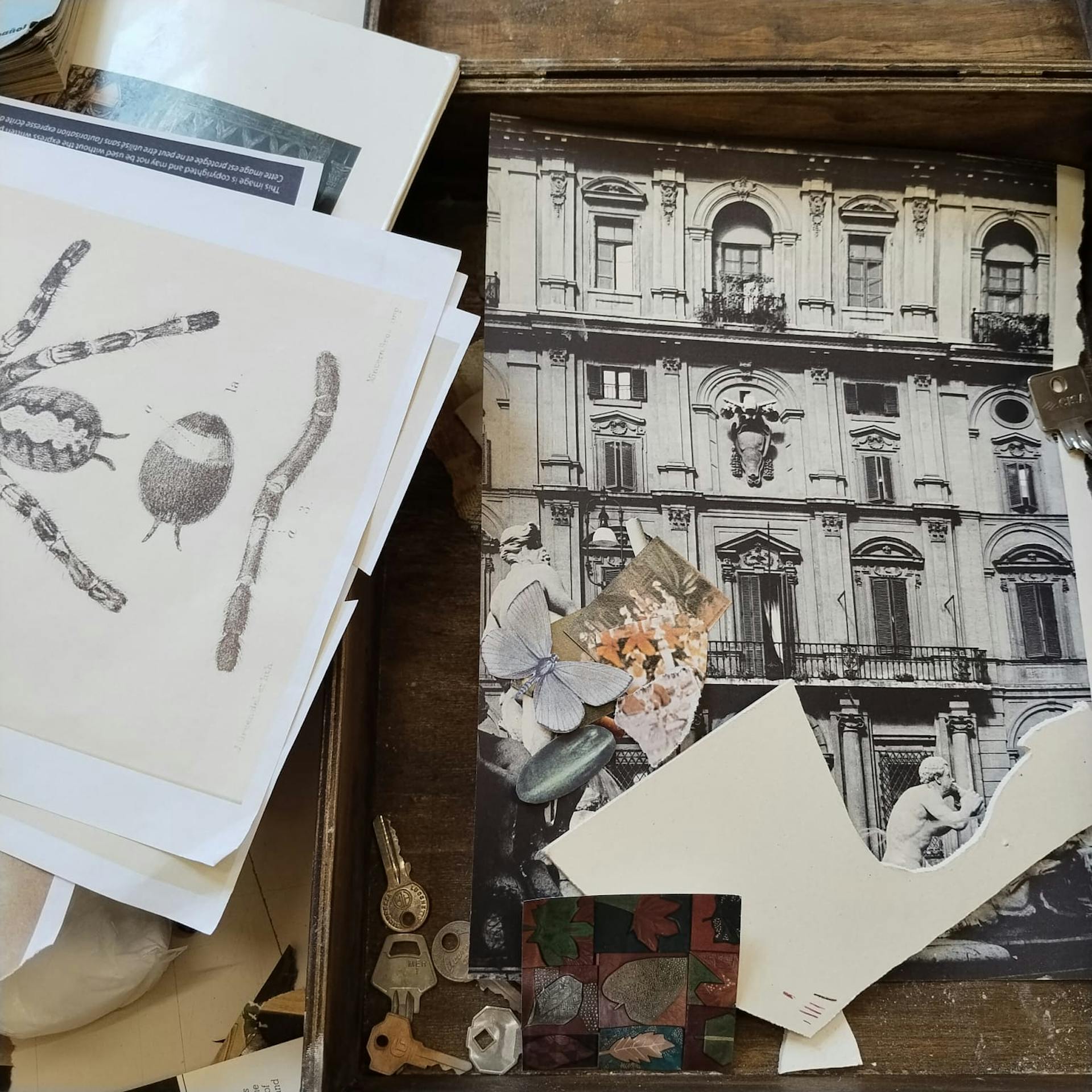 Pagine d'artista