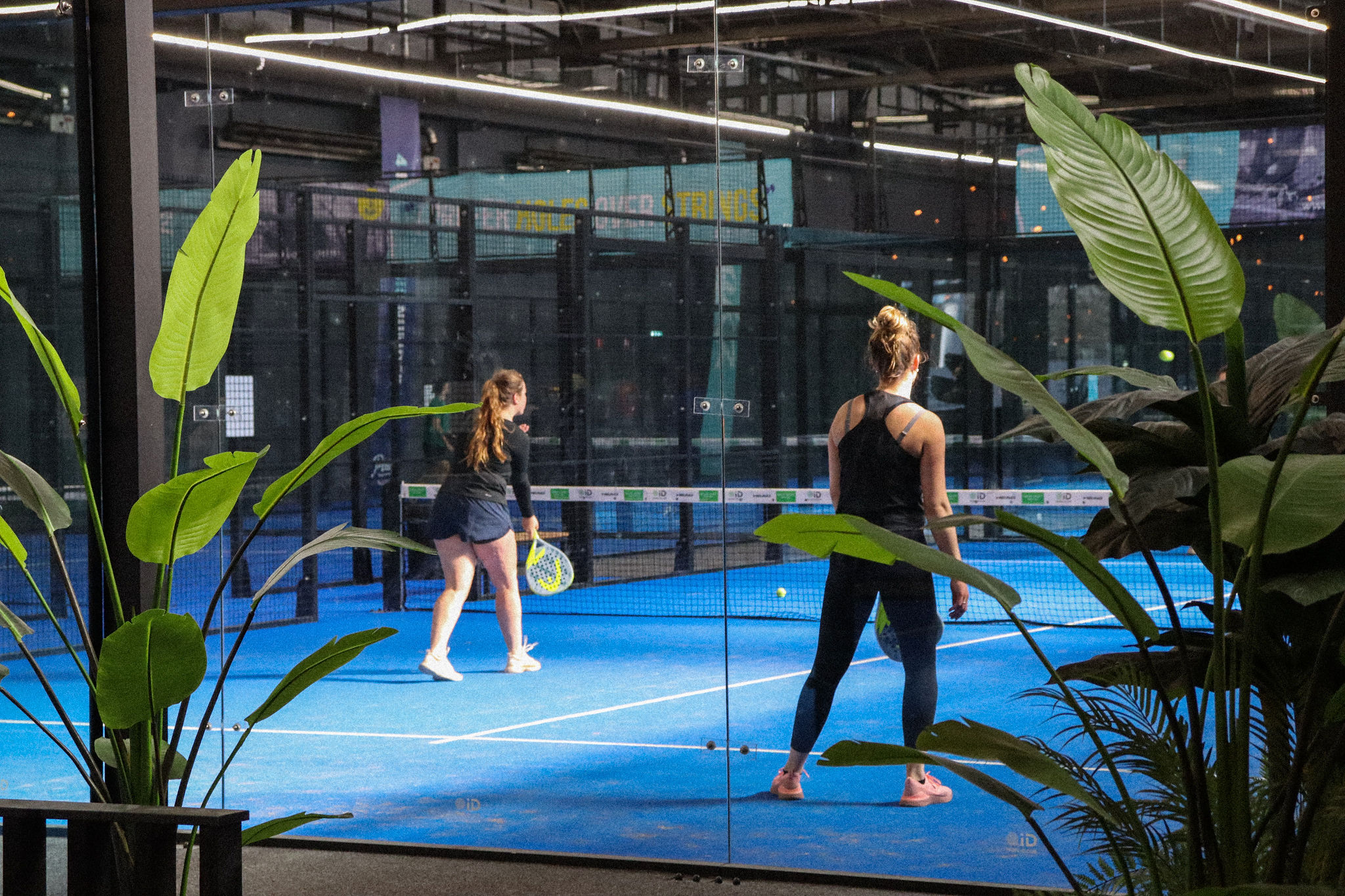 Padel studenten in Groningen
