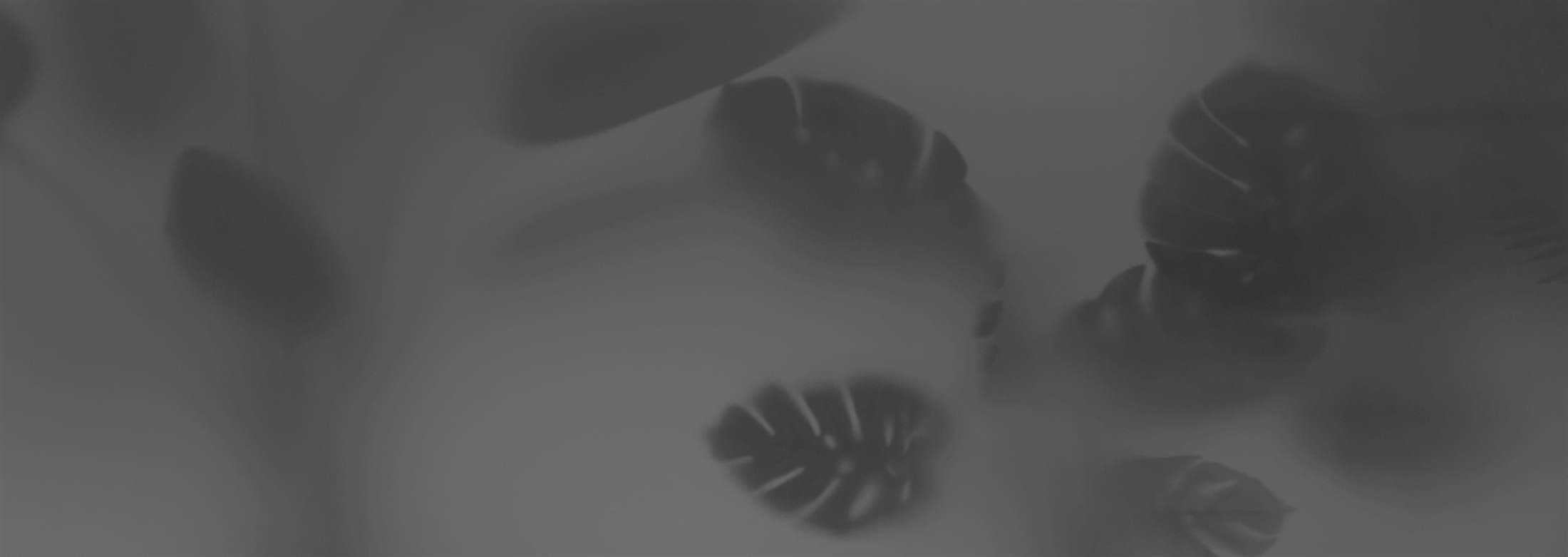 Banner media