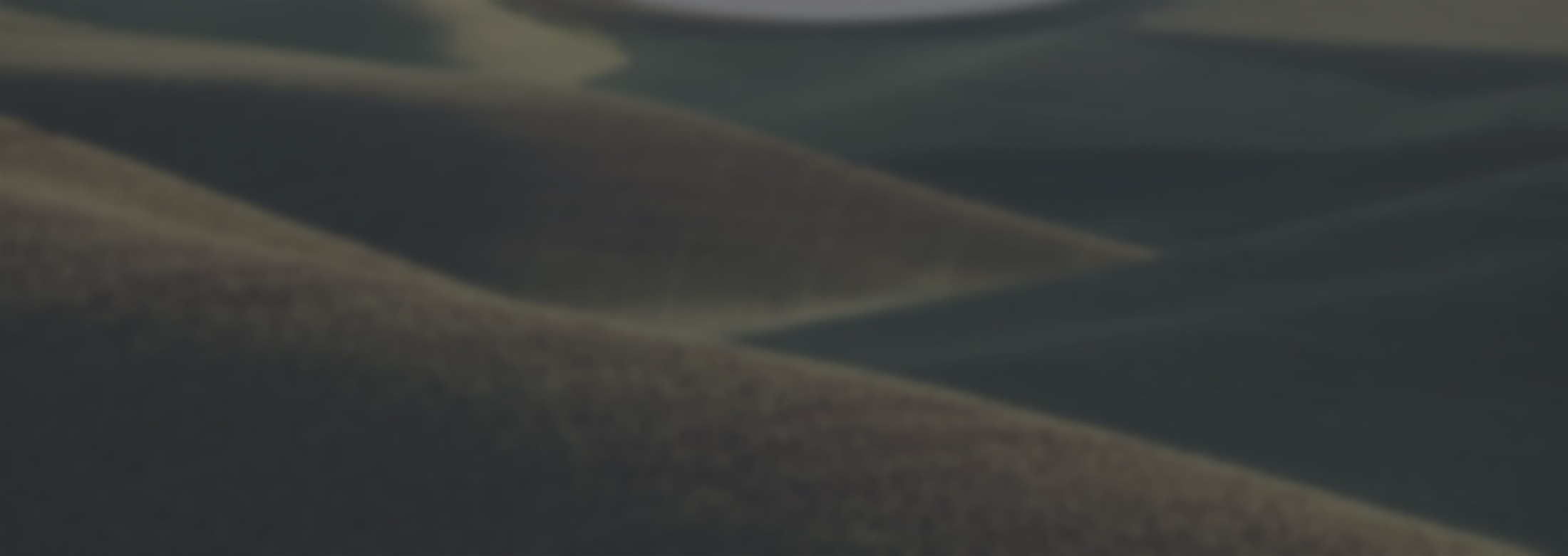 Banner media