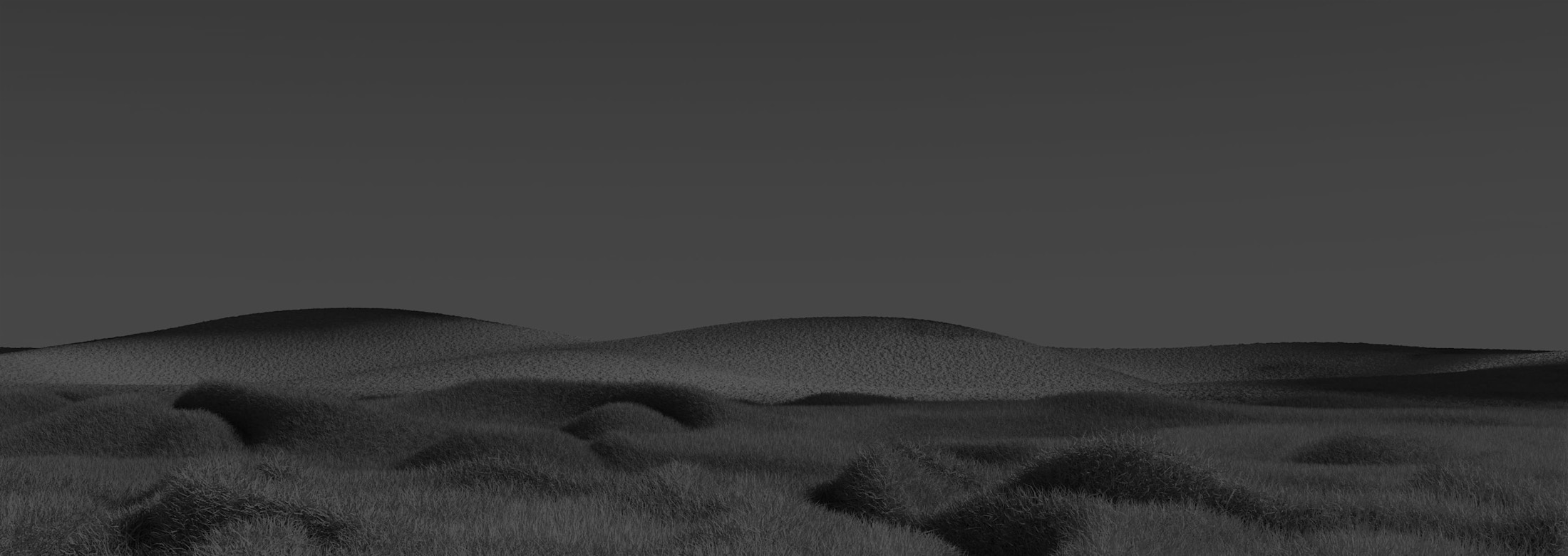 Banner media
