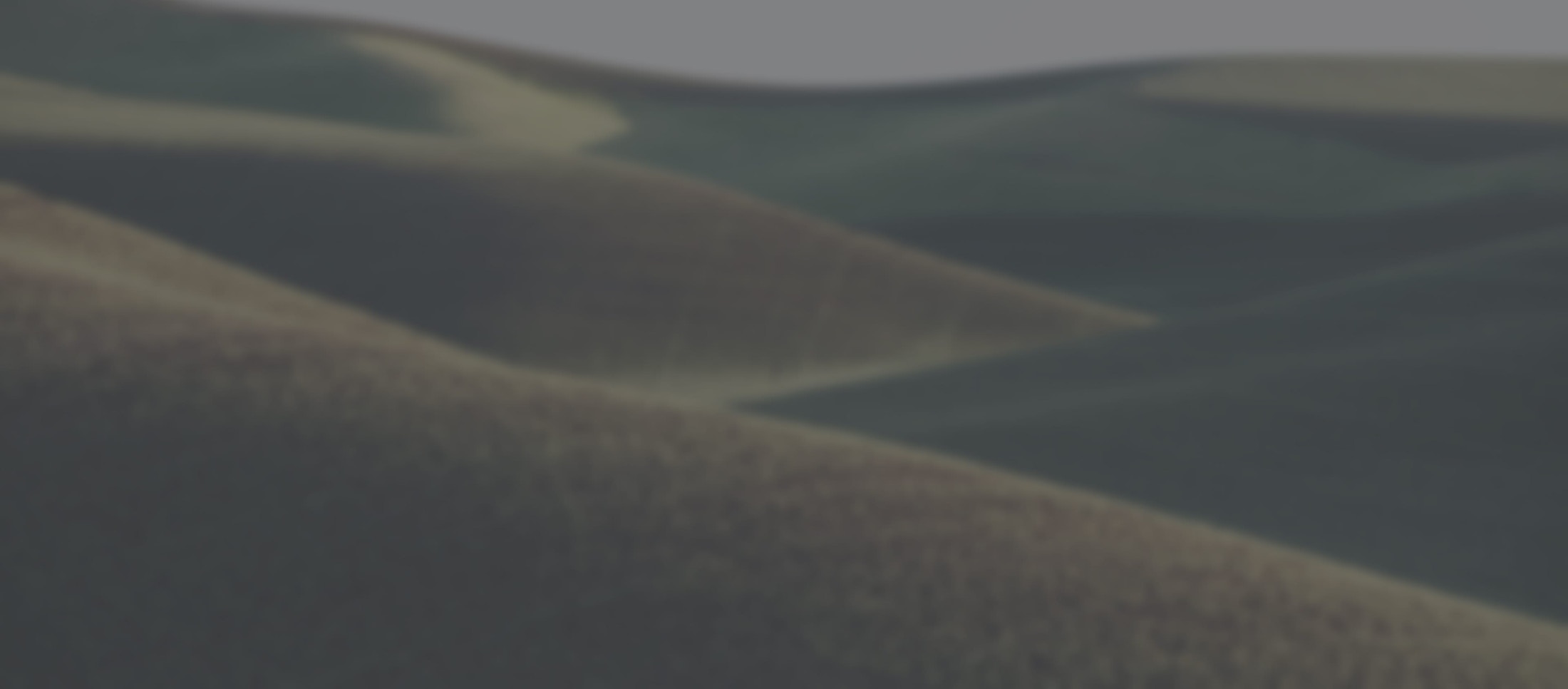 Logo media