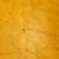 Yellow orb