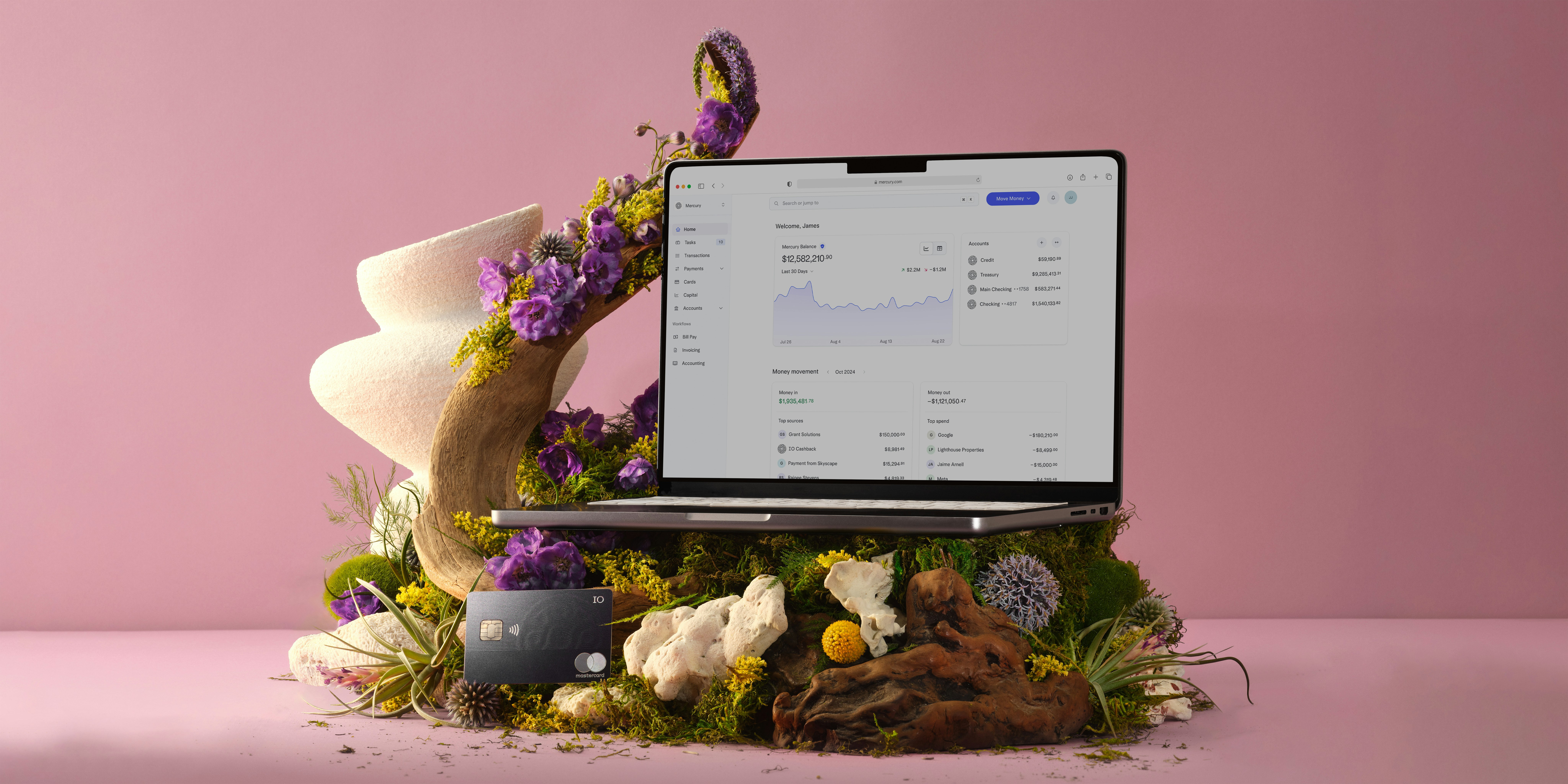 photograph of laptop with Mercury dashboard and an IO card propped in a still life of natural decor.