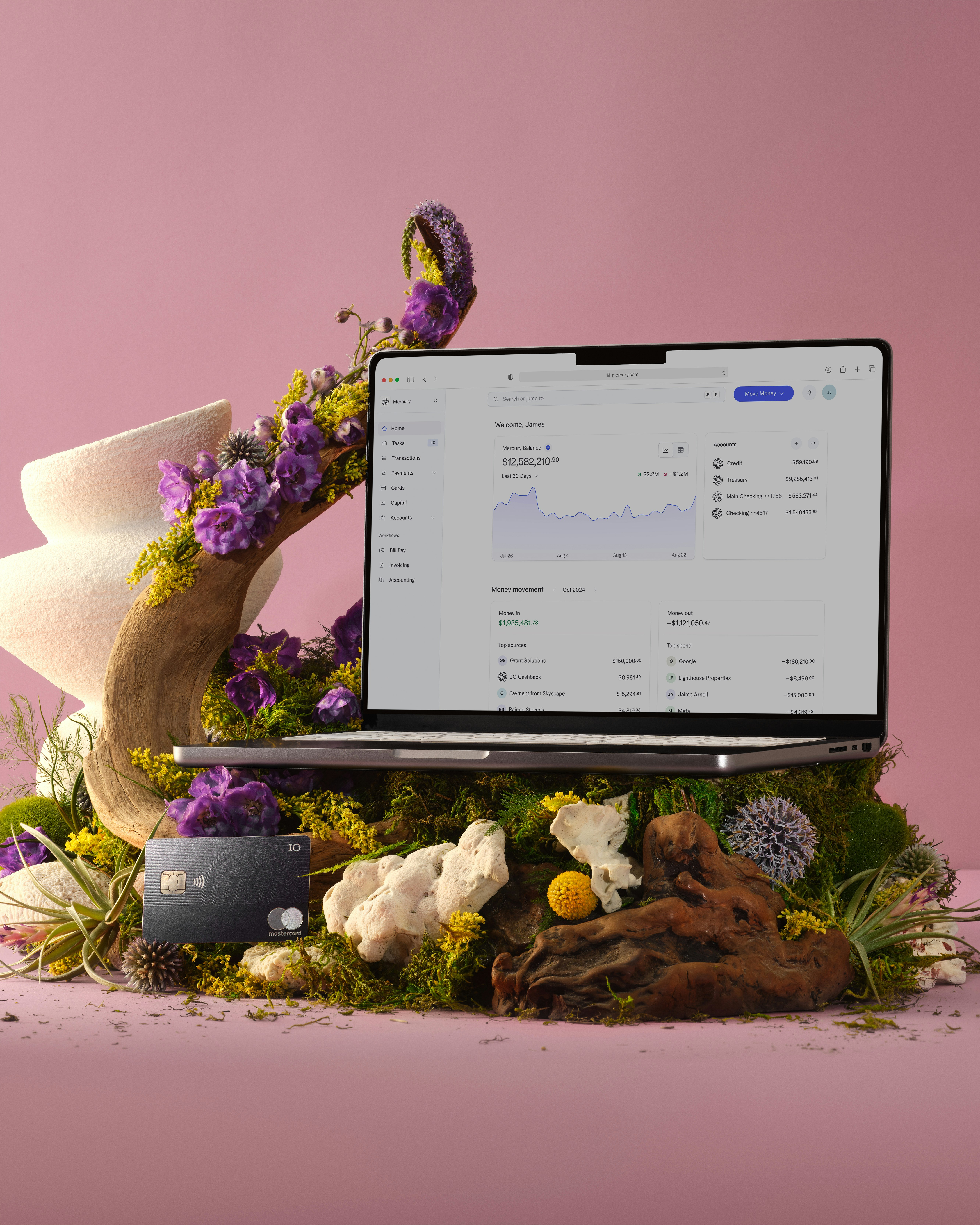 photograph of laptop with Mercury dashboard and an IO card propped in a still life of natural decor.