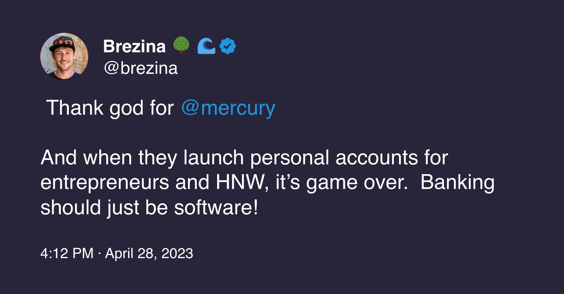 Tweet from Brezina saying banking should just be software