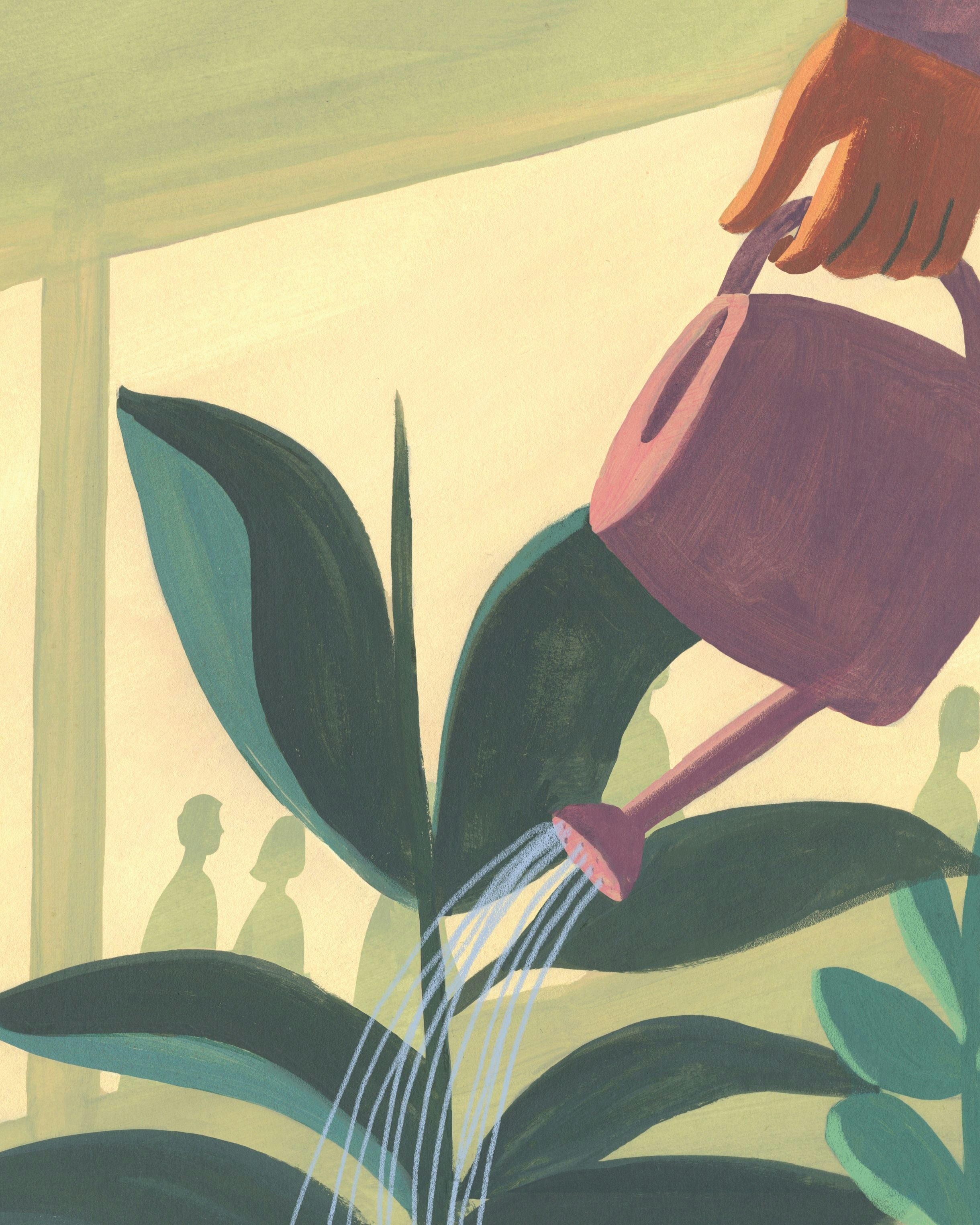 Drawing of a person holding a mauve watering can and watering plants in front of a window | Meridian Drawing of a person holding a mauve watering can and watering plants in front of a window | Meridian