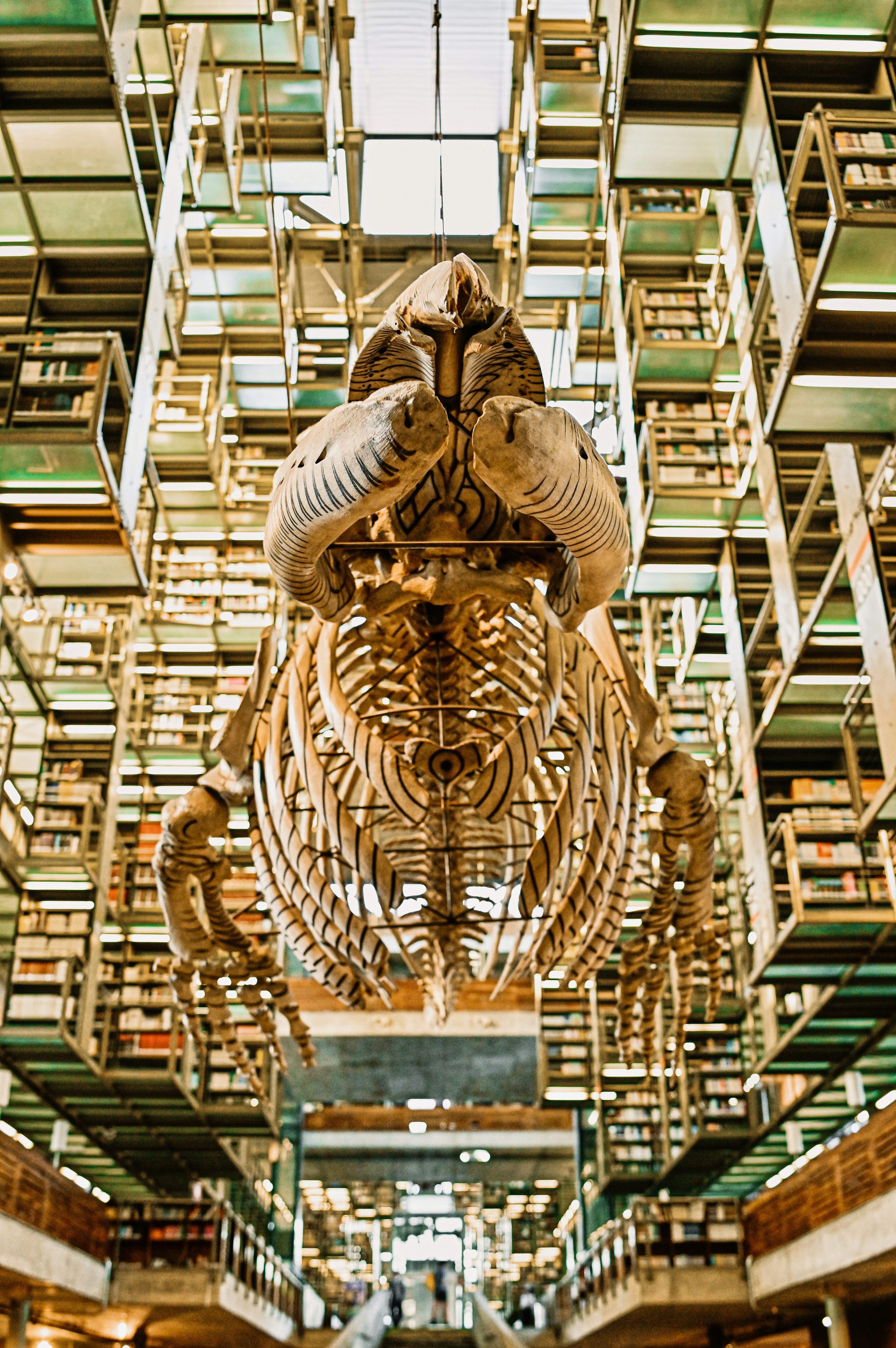 matrix movil at biblioteca vasconcelos