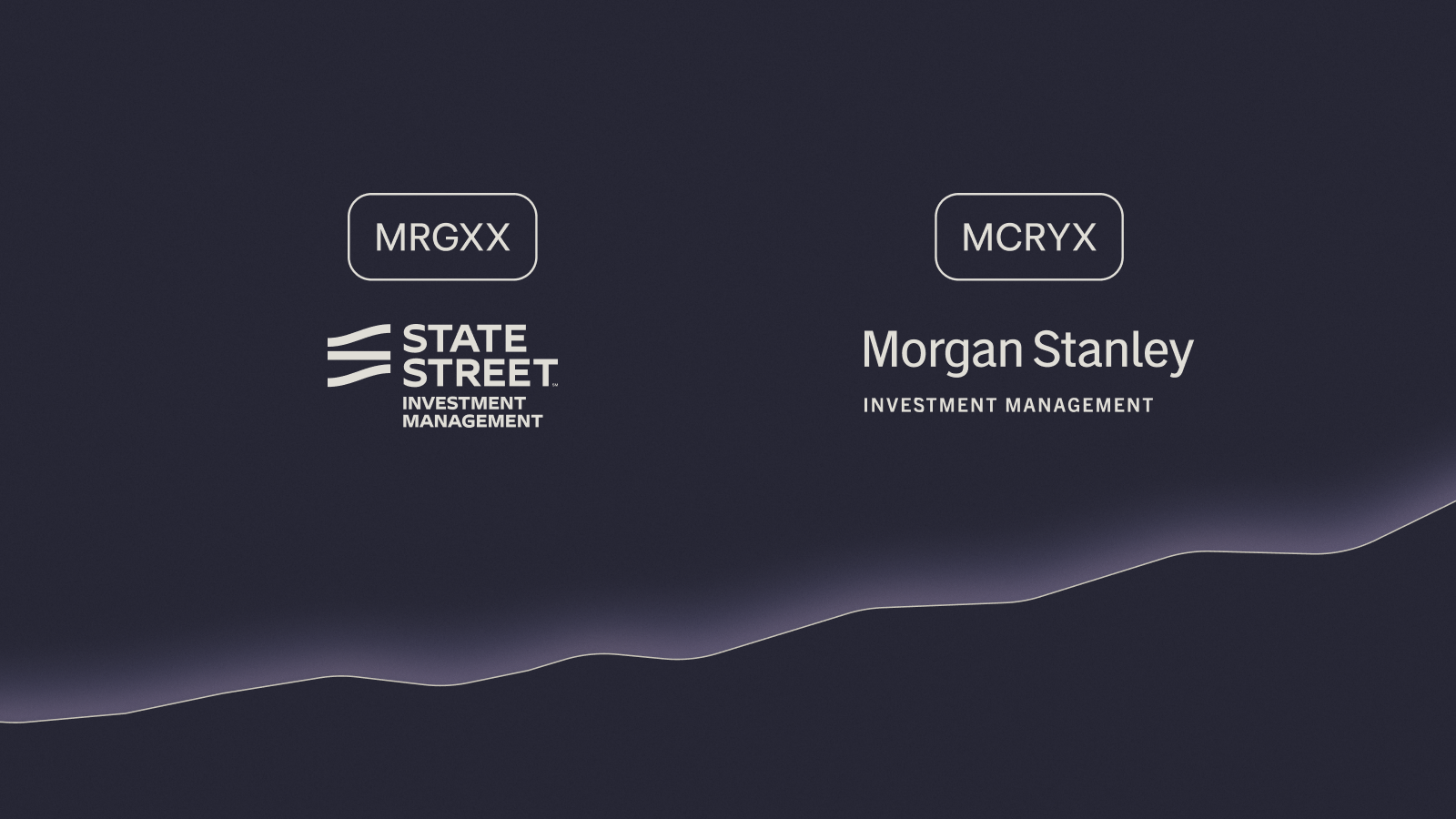 Mercury Treasury Exclusive Mutual Funds