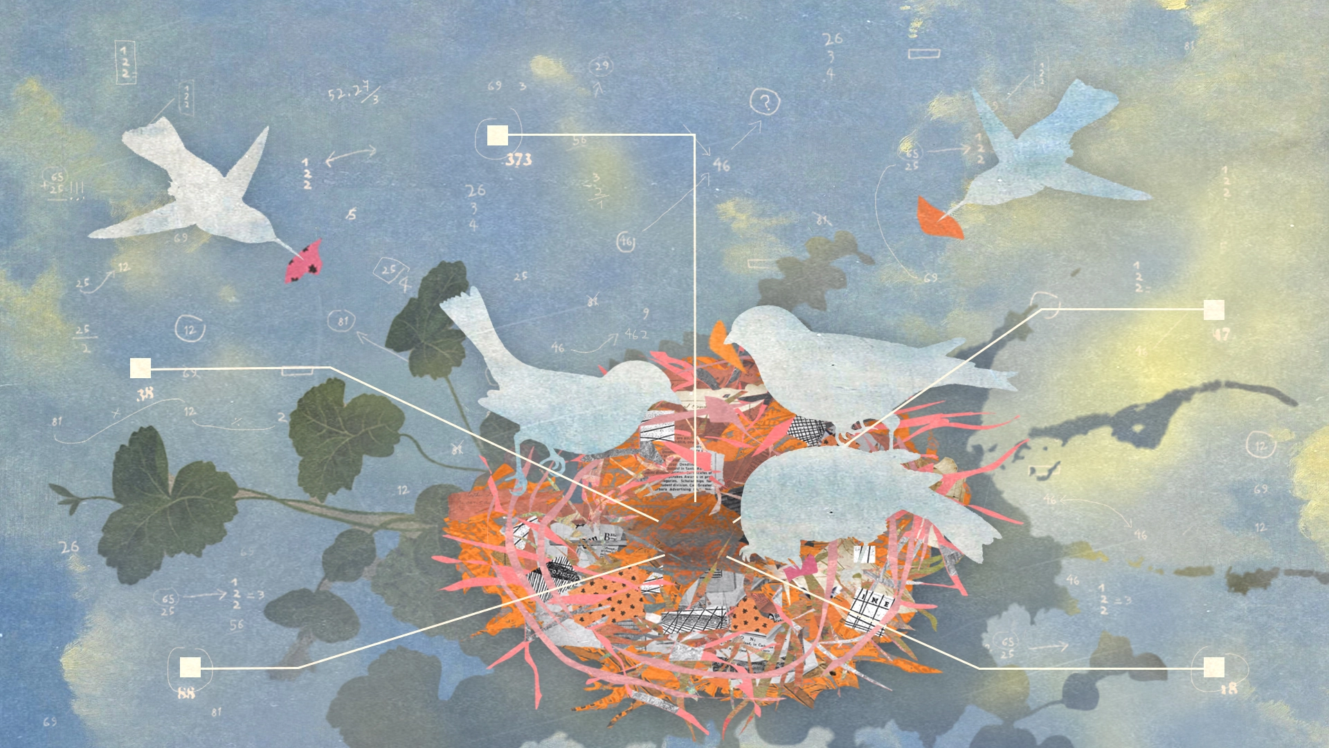 Image of birds building a nest