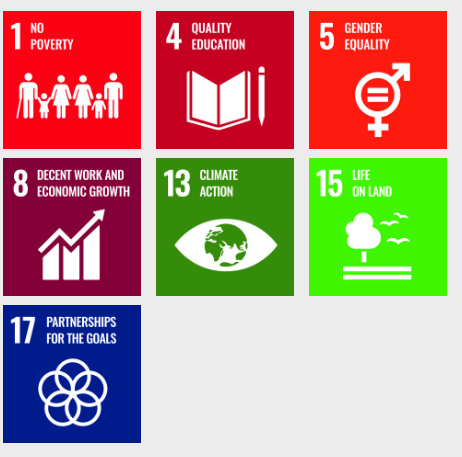 UN SDG Highlights