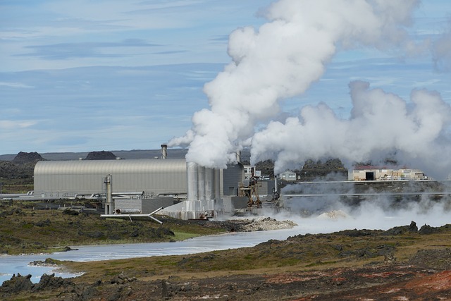 Geo Plant
