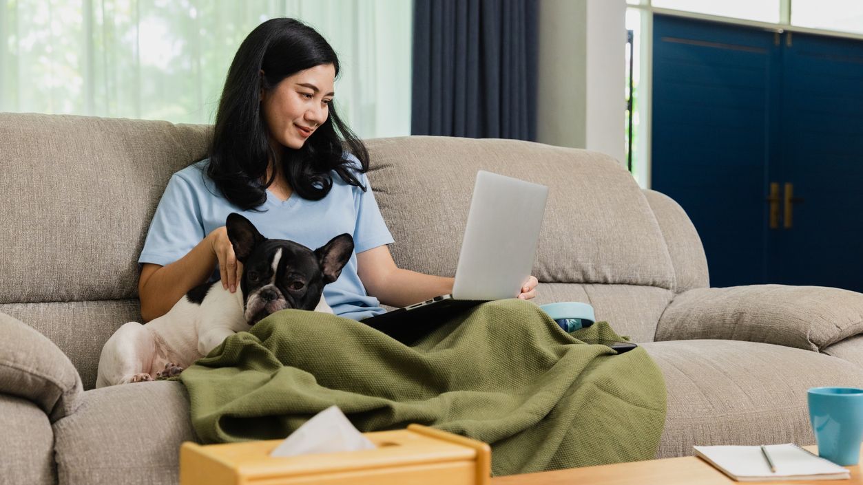 Person on couch working on laptop while sitting with dog
