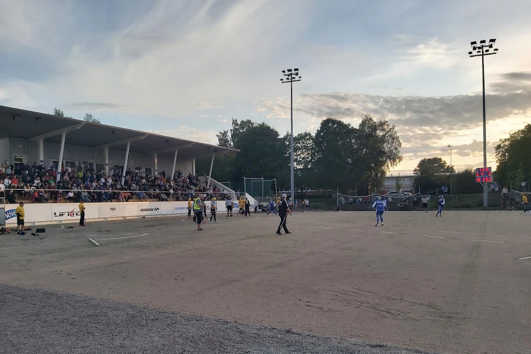 Roihuvuoren pesäpallostadion, Helsinki