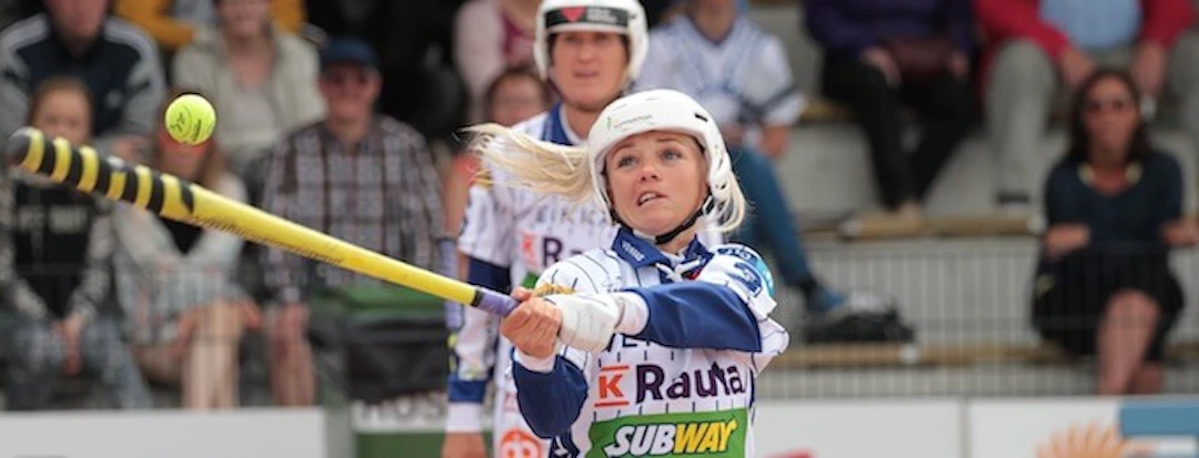 IL-2017-Susse-Ojaniemi(1)