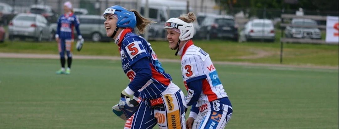 LL-2016-Saari-Viitala(1)