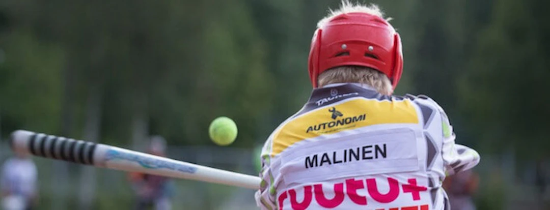 Malinen-iskee(1)