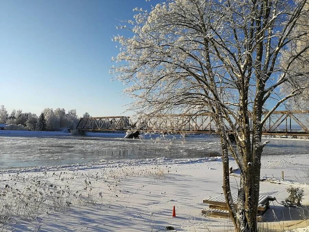 Talvikuva(1)