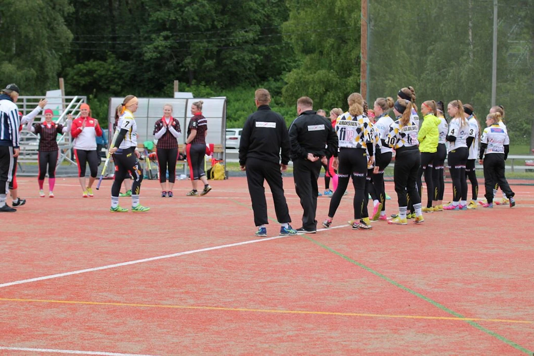 NMS-siipe-valo-c.-katja-vainikainen.jpg