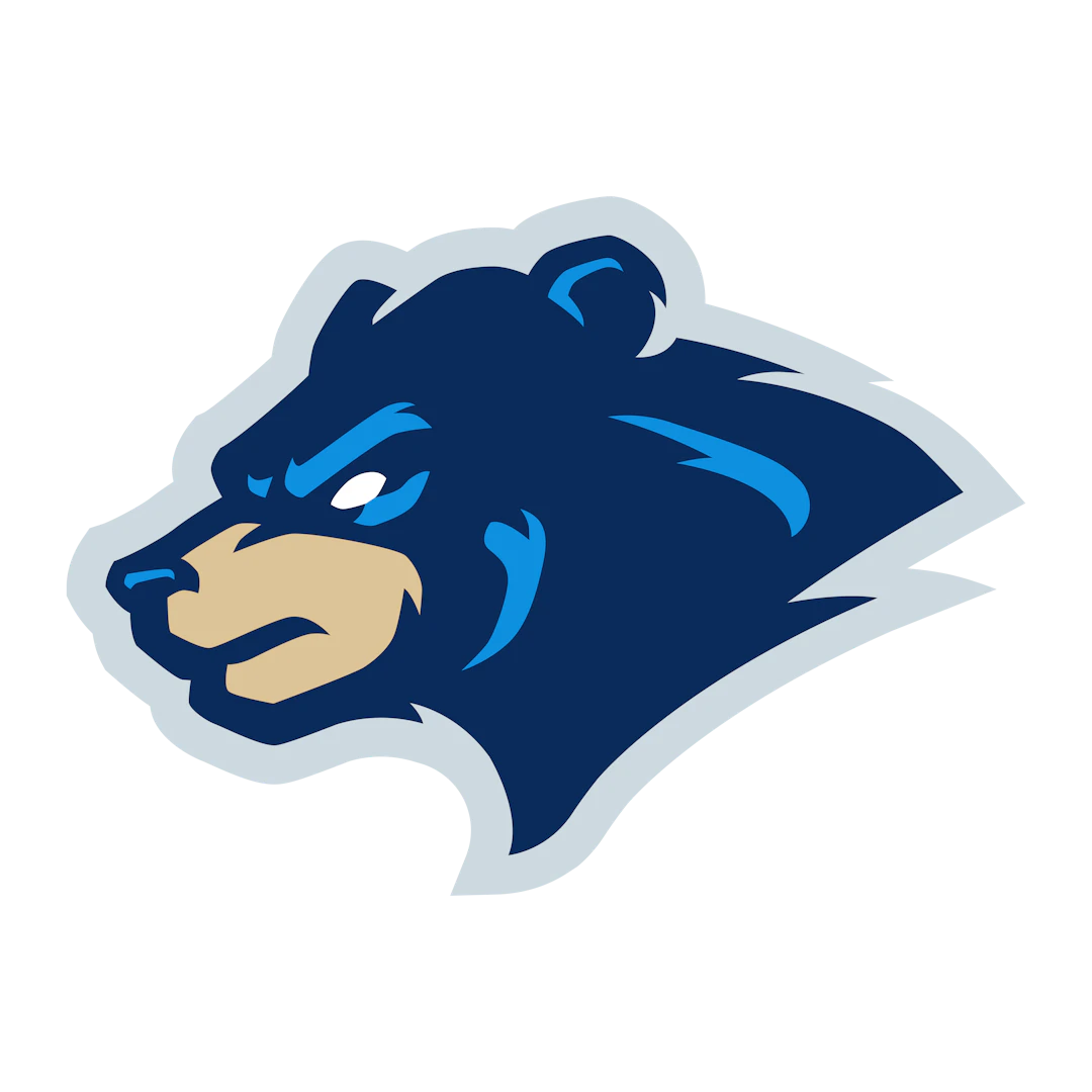 HEAD-VARIATION-BASEBALL-FINLAND-PNG.png