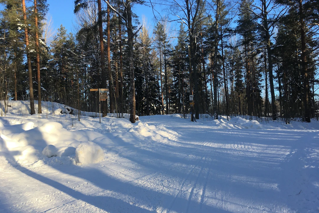 Pirkkola, Helsinki, talvi, hiihto