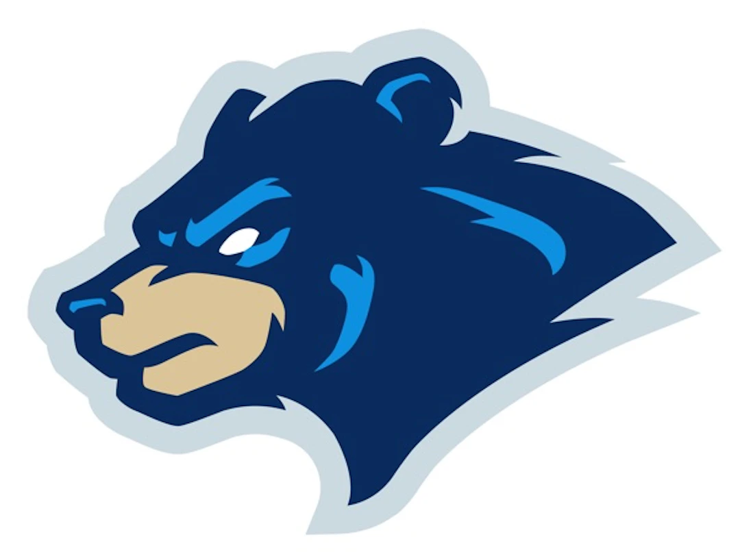 Bear-head-BASEBALL-FINLAND-JPEG-1.jpg