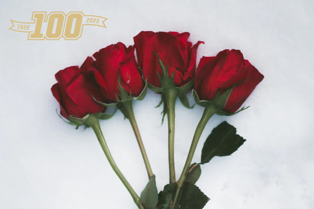 100 kiitosta