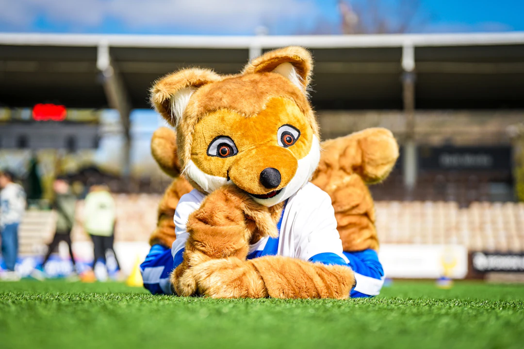 Kunnariketun pesispäivä Helsingissä 7.5.2024