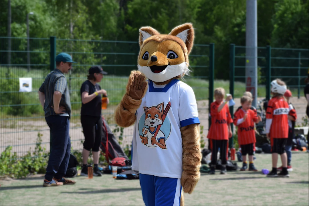 Kunnarikettu kuvattuna Espoon alueleirillä 2025