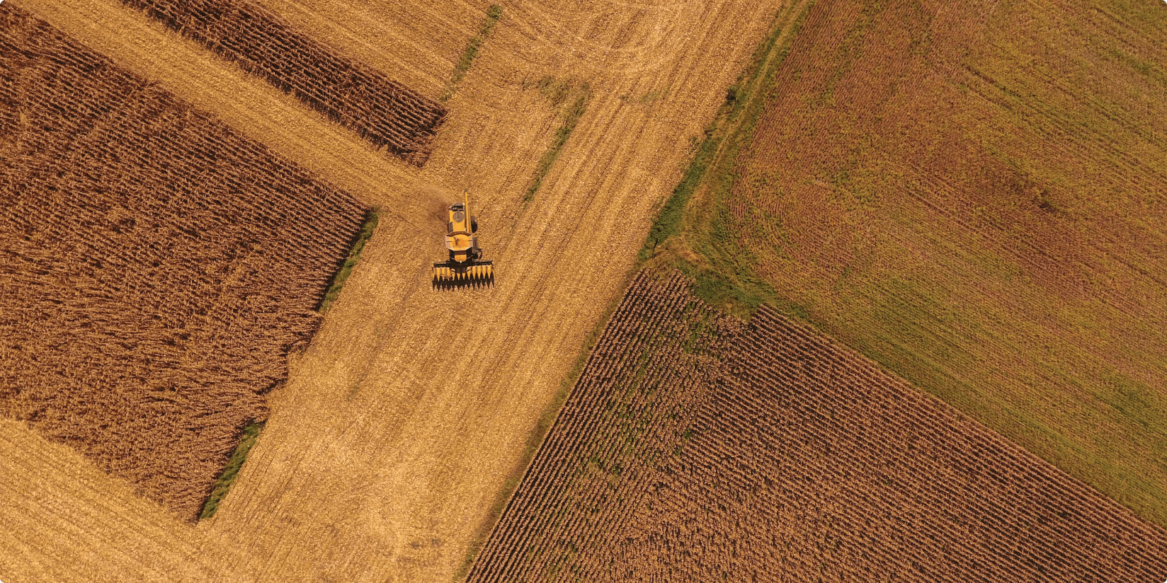 Crop Field