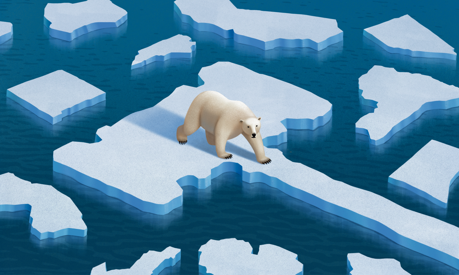 Polar Bear ice