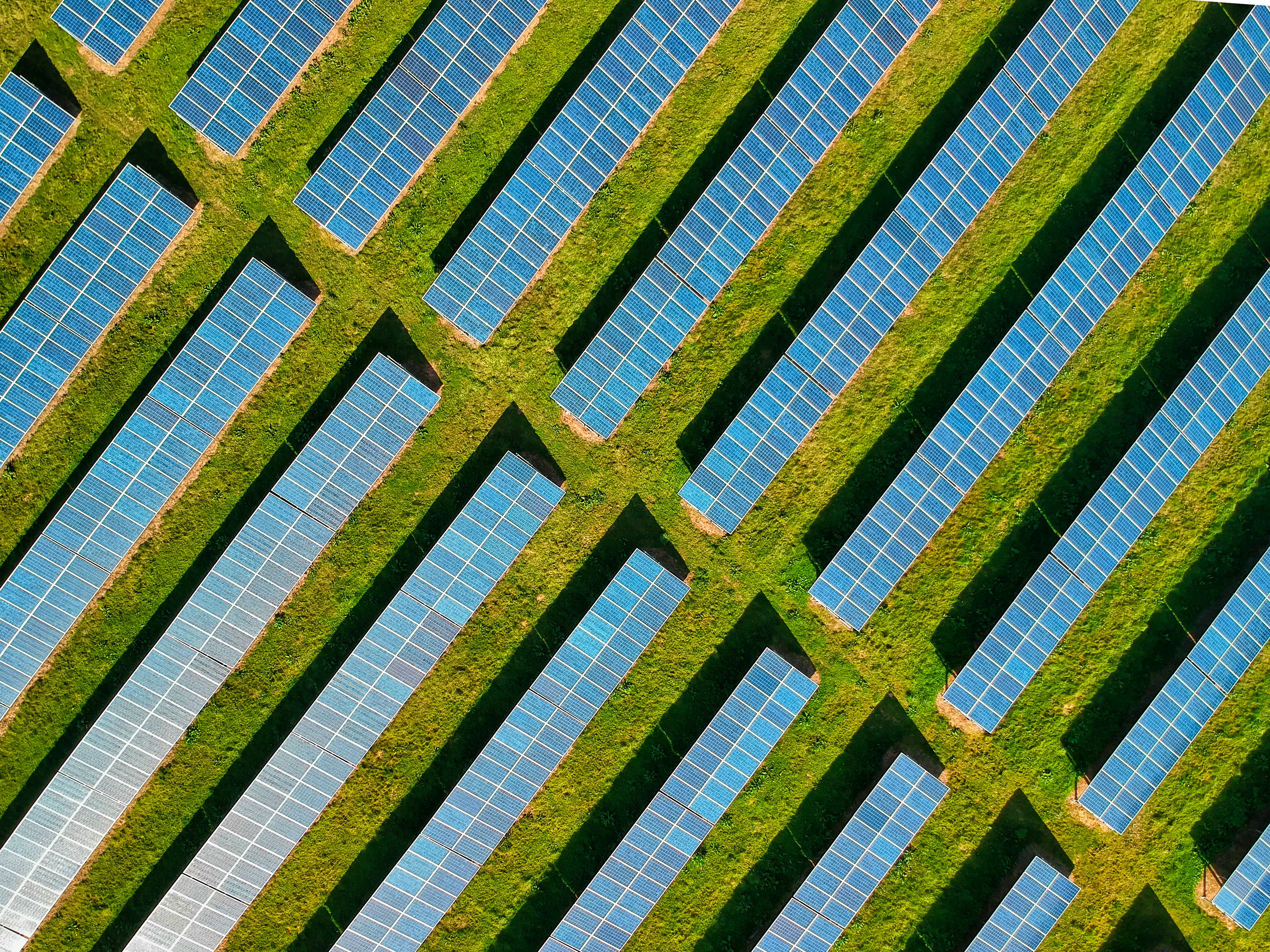 Rising demand for Energy Management
