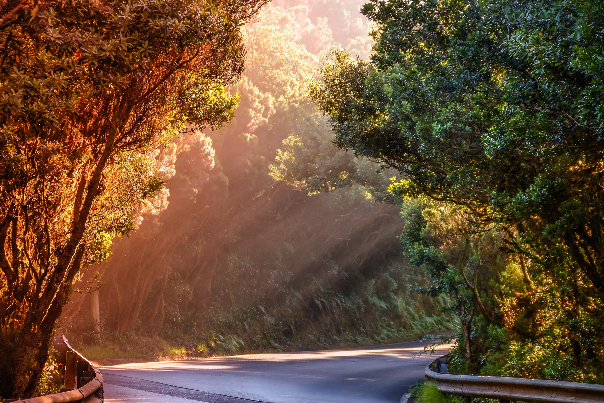Road