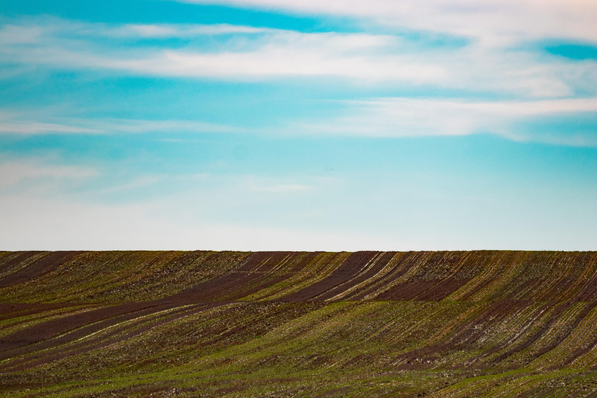 EPA Fuel Economy Standards: Background, Purpose, and Future Trends Explained