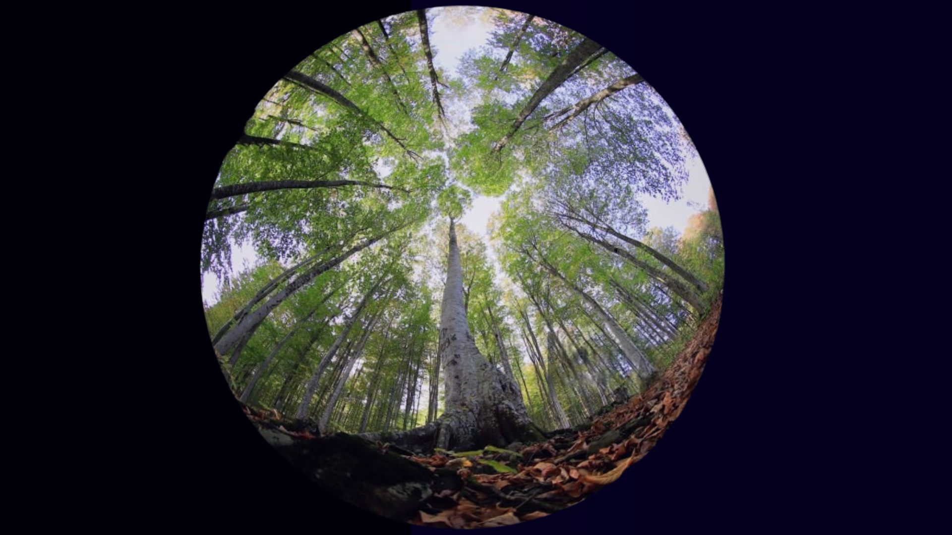Designing Energy Storage Projects with Circularity in Mind: BESS and Modular Planning