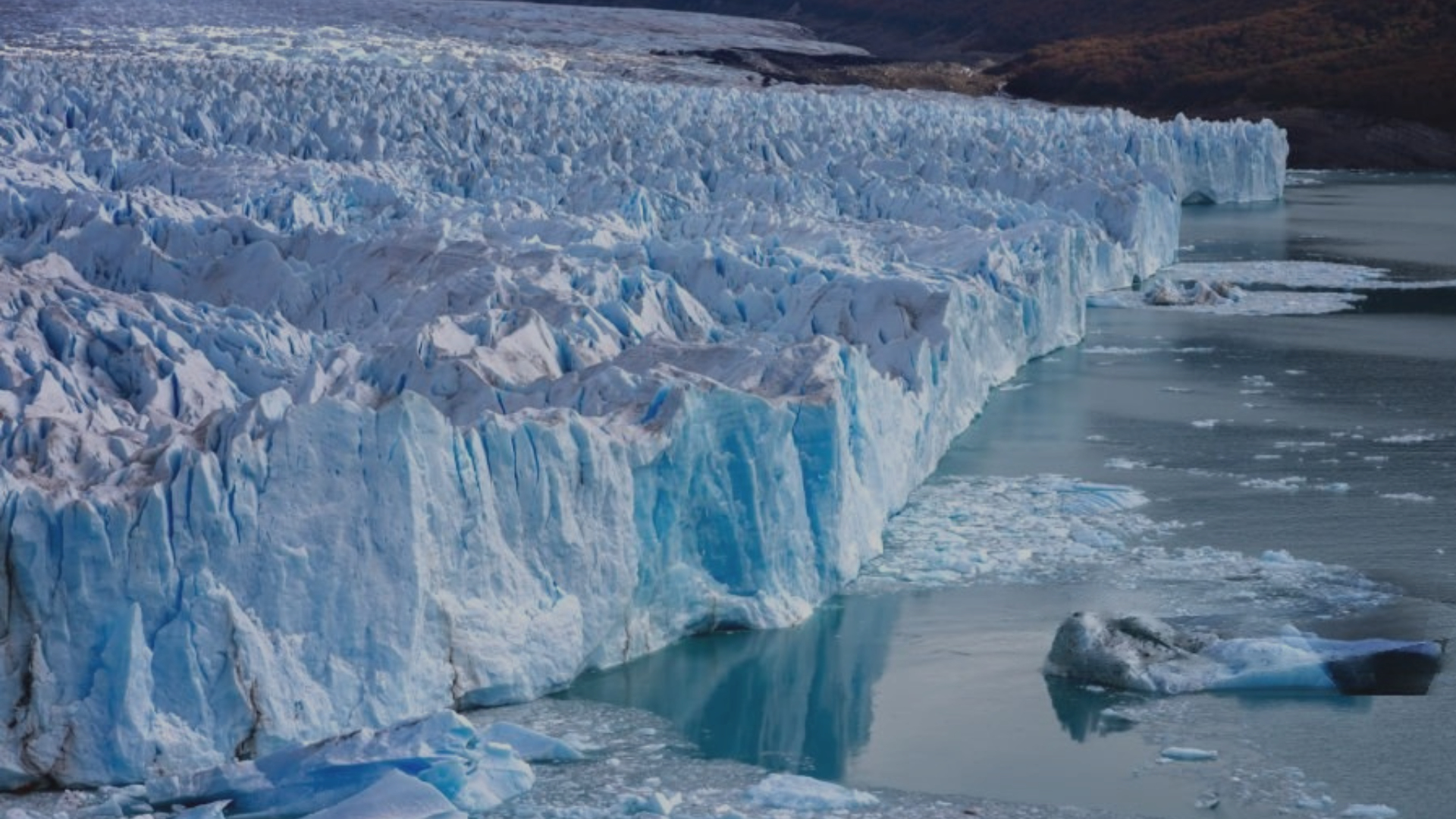 One Market, Fifty Climate Policies: How U.S. State Rules Are Reshaping Global Supply Chains